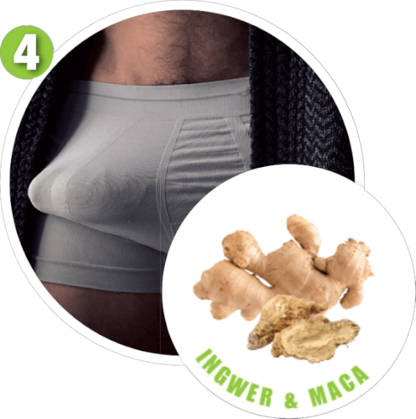 INGWER & MACA